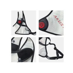 Plastron
