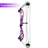Cambrian camv25